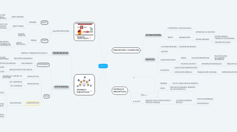 Mind Map: PSICOLOGÍA DE LA PERCEPCIÓN