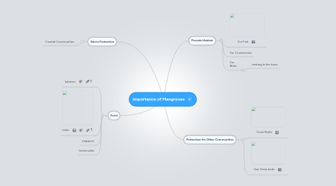 Mind Map: Importance of Mangroves