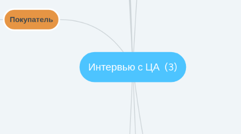 Mind Map: Интервью с ЦА (3)