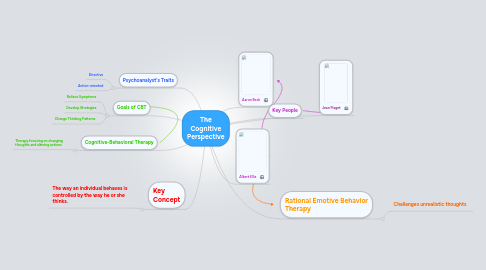 Mind Map: The Cognitive Perspective