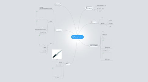 Mind Map: My Synopsis
