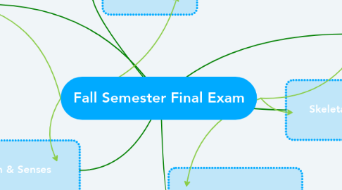 Mind Map: Fall Semester Final Exam