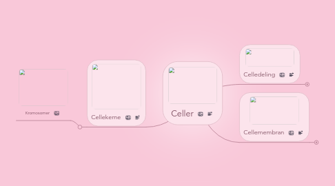 Mind Map: Celler