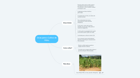 Mind Map: Dicas para o Cultivo de Milho