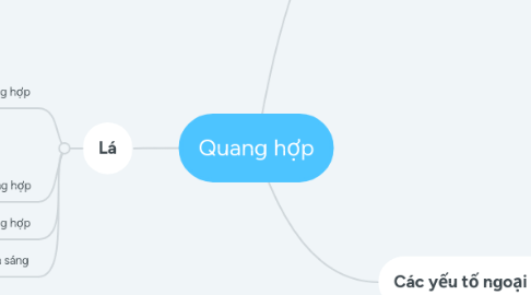 Mind Map: Quang hợp