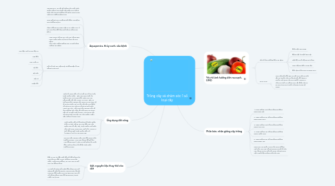 Mind Map: Trồng cây và chăm sóc 1 số loại cây