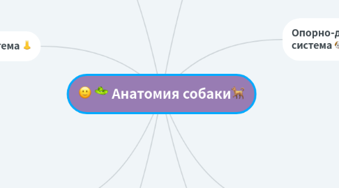 Mind Map: Анатомия собаки🐕