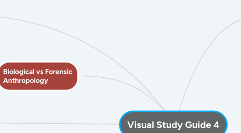 Mind Map: Visual Study Guide 4