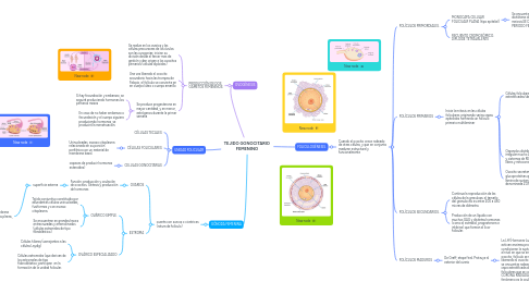 Mind Map: TEJIDO GONOCITARIO FEMENINO