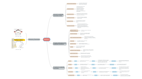 Mind Map: Capitulo 2