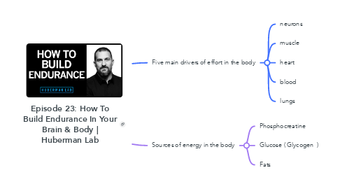 Mind Map: Episode 23: How To Build Endurance In Your Brain & Body | Huberman Lab