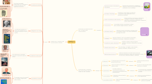 Mind Map: CAPÍTULO 2