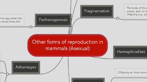 Mind Map: Other forms of reproduction in mammals (Asexual)