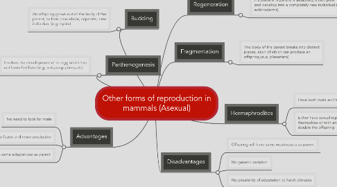 Mind Map: Other forms of reproduction in mammals (Asexual)