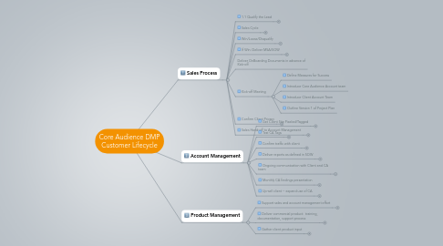 Mind Map: Core Audience DMP Customer Lifecycle