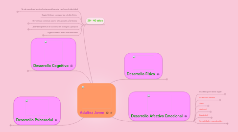 Mind Map: Adultez Joven