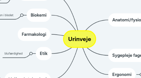 Mind Map: Urinveje