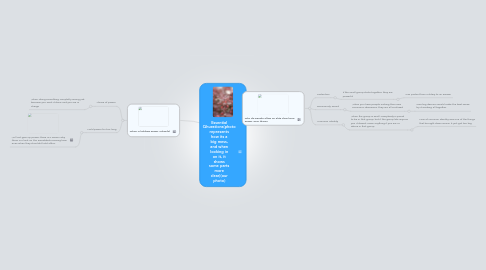 Mind Map: Essential Qhuestions(photo represents how its a big mess, and when looking in on it, it shows some parts more clear)(our photo)