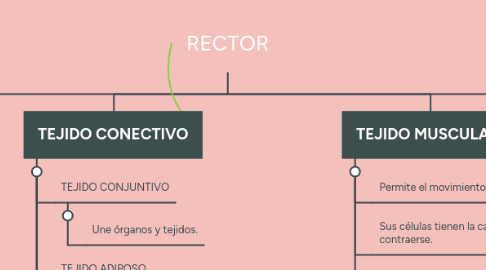 Mind Map: RECTOR