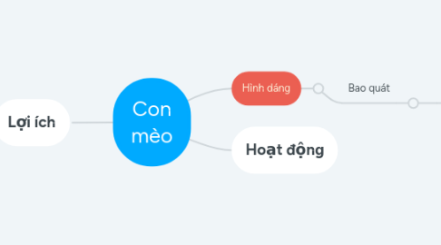 Mind Map: Con mèo