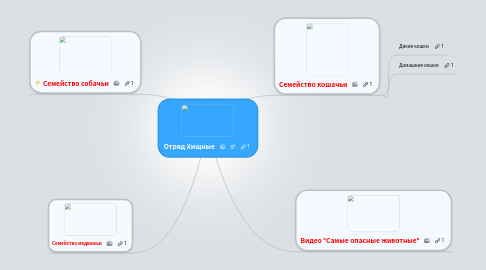 Mind Map: Отряд Хищные