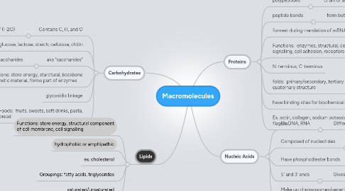 Mind Map: Macromolecules