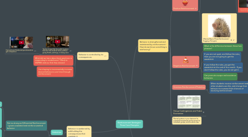 Mind Map: Reinforcement Strategies- Three Core Principles