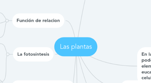 Mind Map: Las plantas