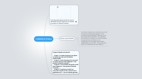 Mind Map: L’obésité en France