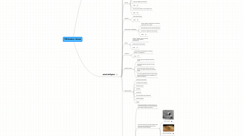 Mind Map: FFAI Evolution + Animals