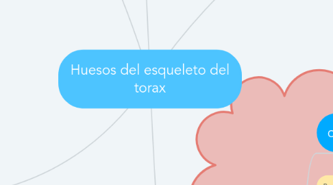Mind Map: Huesos del esqueleto del torax