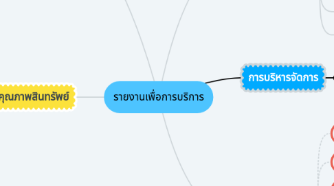 Mind Map: รายงานเพื่อการบริการ