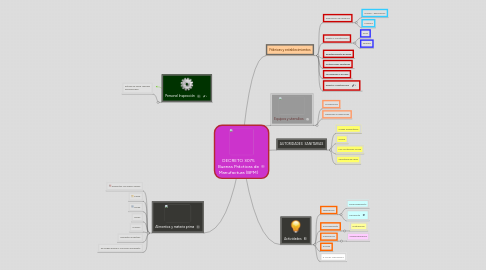 Mind Map: DECRETO 3075 Buenas Prácticas de Manufactura (BPM)