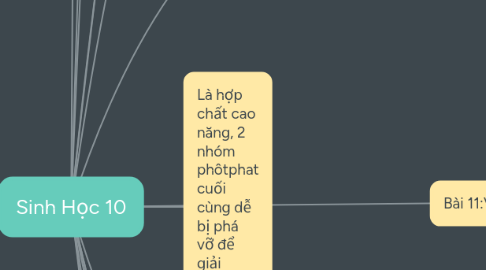 Mind Map: Sinh Học 10