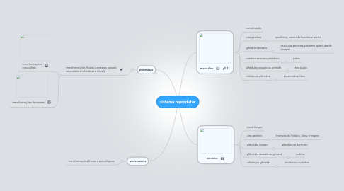 Mind Map: sistema reprodutor