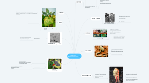 Mind Map: AGENTES FITOPATOGENOS