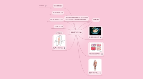 Mind Map: ANATOMIA