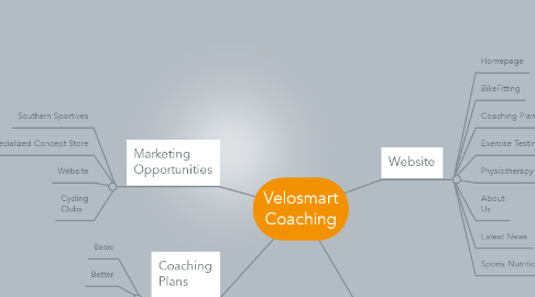 Mind Map: Velosmart Coaching