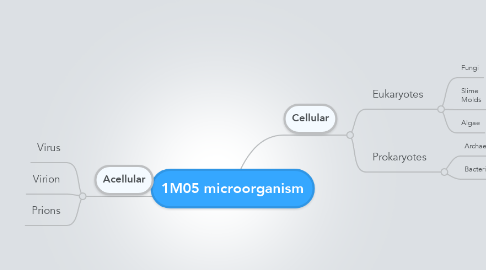 Mind Map: 1M05 microorganism