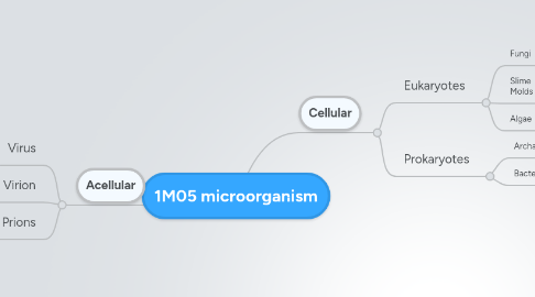 Mind Map: 1M05 microorganism