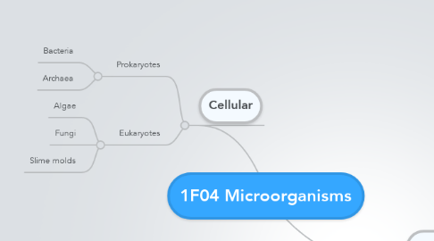 Mind Map: 1F04 Microorganisms
