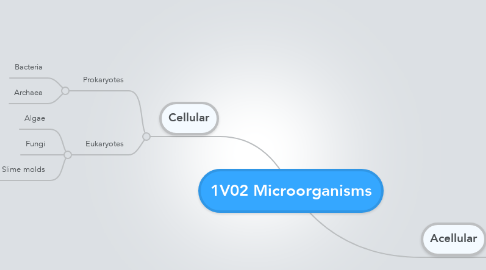 Mind Map: 1V02 Microorganisms