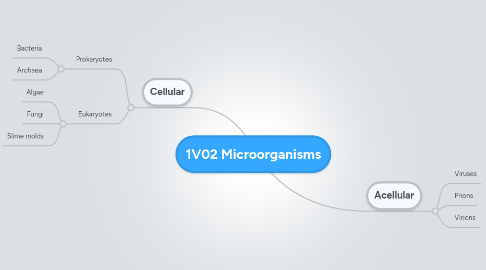 Mind Map: 1V02 Microorganisms