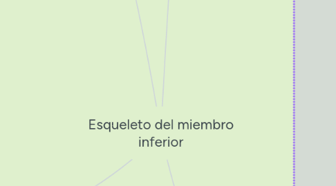 Mind Map: Esqueleto del miembro inferior