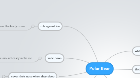Mind Map: Polar Bear