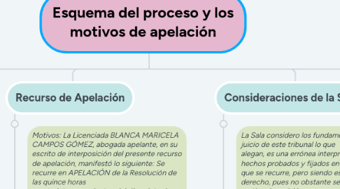 Mind Map: Esquema del proceso y los motivos de apelación