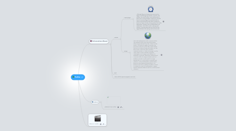 Mind Map: Turtles