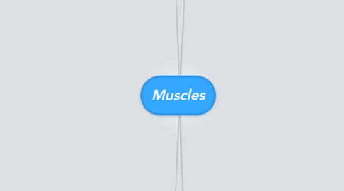 Mind Map: Muscles