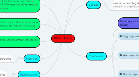 Mind Map: REINO FUNGÍ