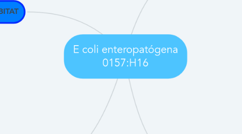 Mind Map: E coli enteropatógena 0157:H16